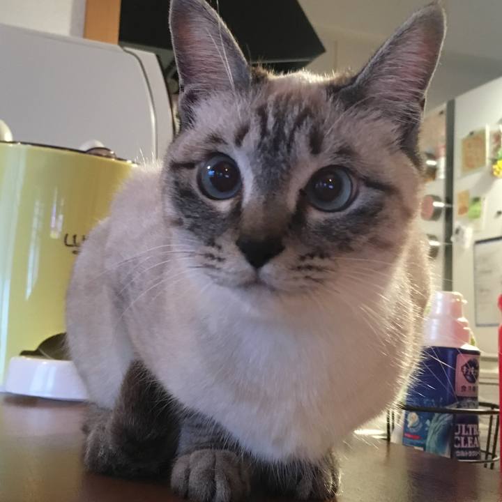 4194b88d 5ddf 4b94 b11e e329ac4ced39 1551564352939