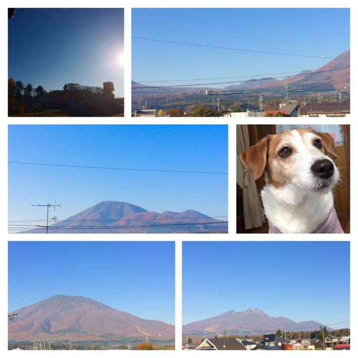 41950704 8a71 44b9 ab73 e657b763341f 1509664377391