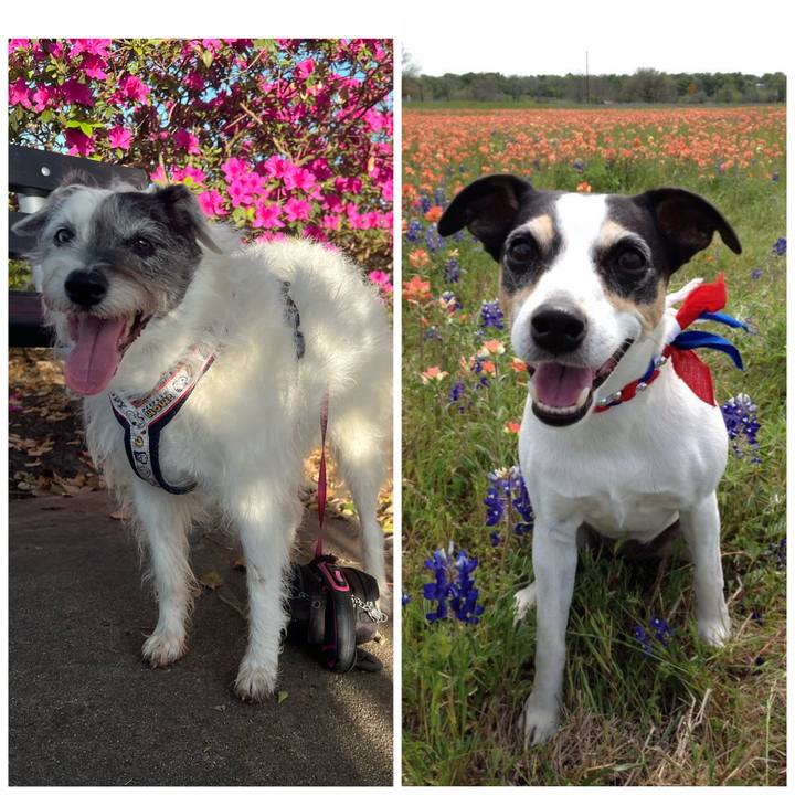 4195240a 4e02 4bfe 8181 46671dd47de4 1743769025672