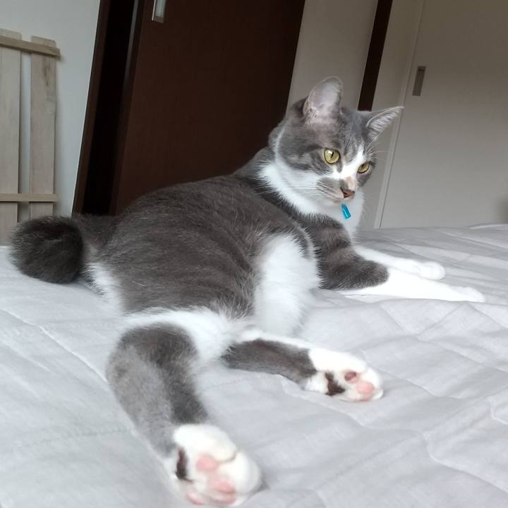 41953269 0212 4966 8b5a ec08017a4c37 1598740050437