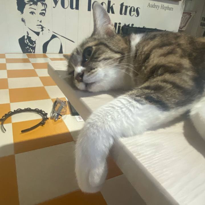 41955766 b2f5 4f16 b572 9290249b98f2 1723713594832