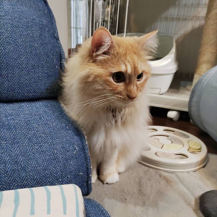 4195653a abea 4fb7 9303 f9519295f441 1714428967416