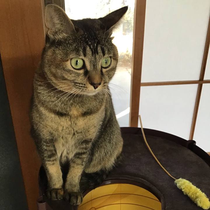 419567e8 2fa6 4835 bc2b 039a98191ae4 1638416645420