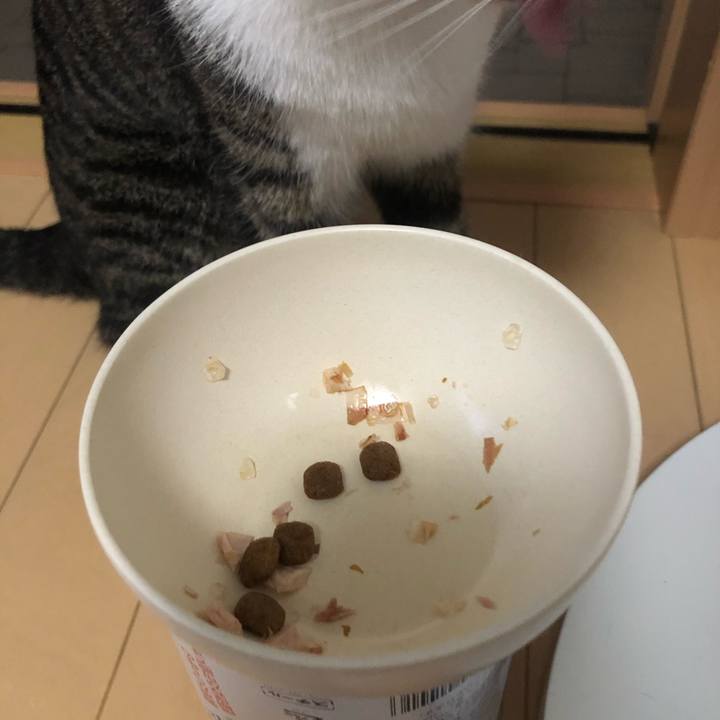 41956e7a 4325 478f bc0c 792f4df37bea 1600442241299