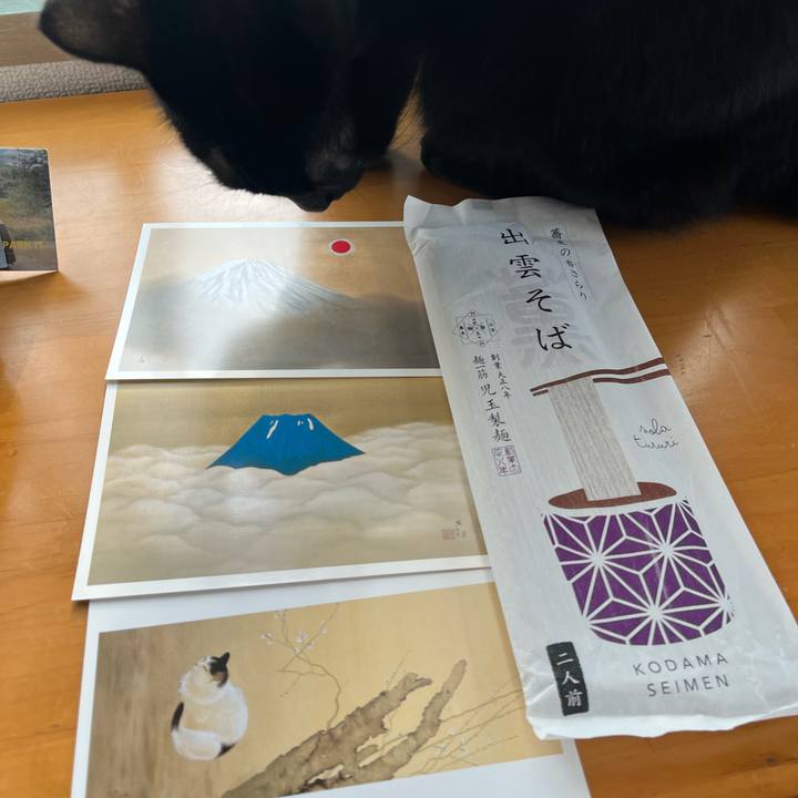 41957c65 ab65 46a4 a4b7 b60814f322e6 1762047148150