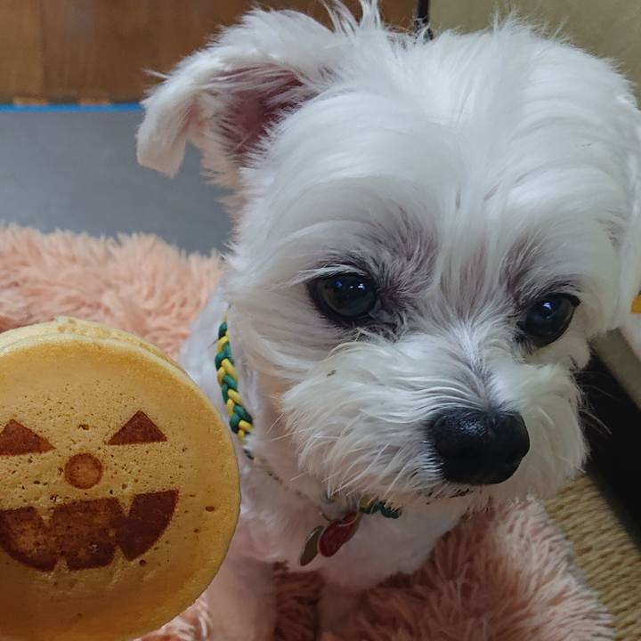 4195a1ae 9f9b 498f 8140 61b0cbc19698 1600864756429