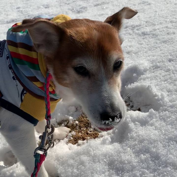 4195e964 8292 42b3 b7b4 e5d0e2de4050 1549762554960