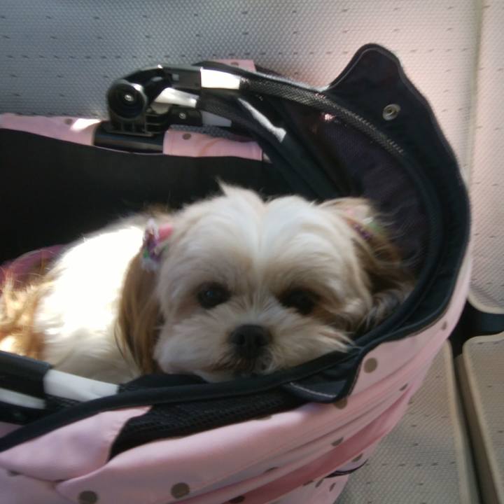 4195f51f b7b7 4f2f bc94 b1743e29bd68 1521850179662