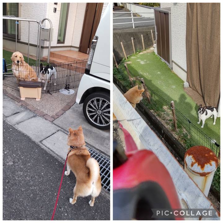 41960372 b856 4701 a26f 09b9a6e6907b 1767658300303