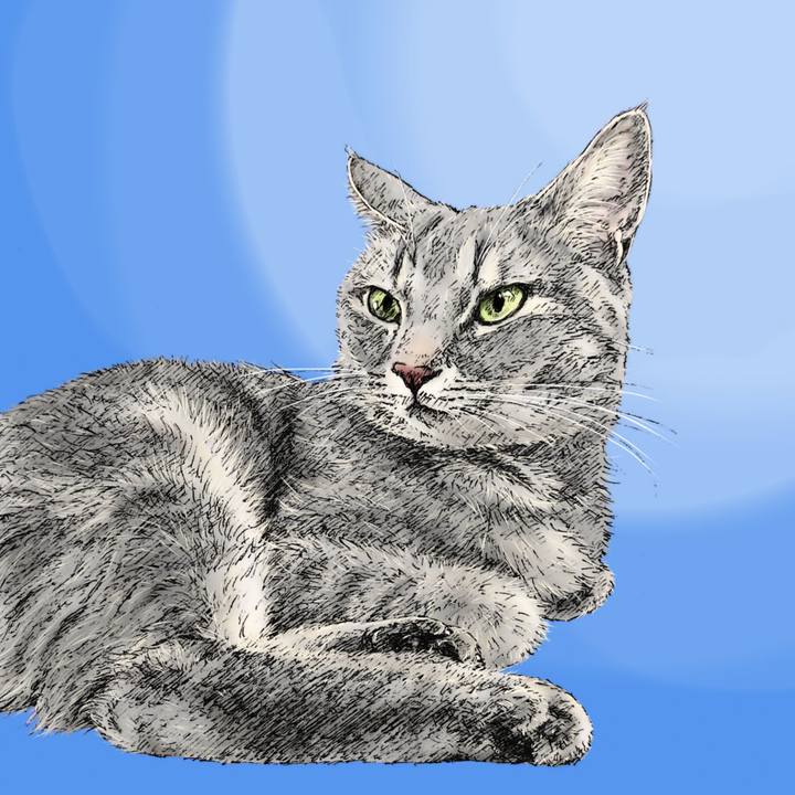 41963981 0aea 4d09 b96c f7e9cf2e29af 1597930857378