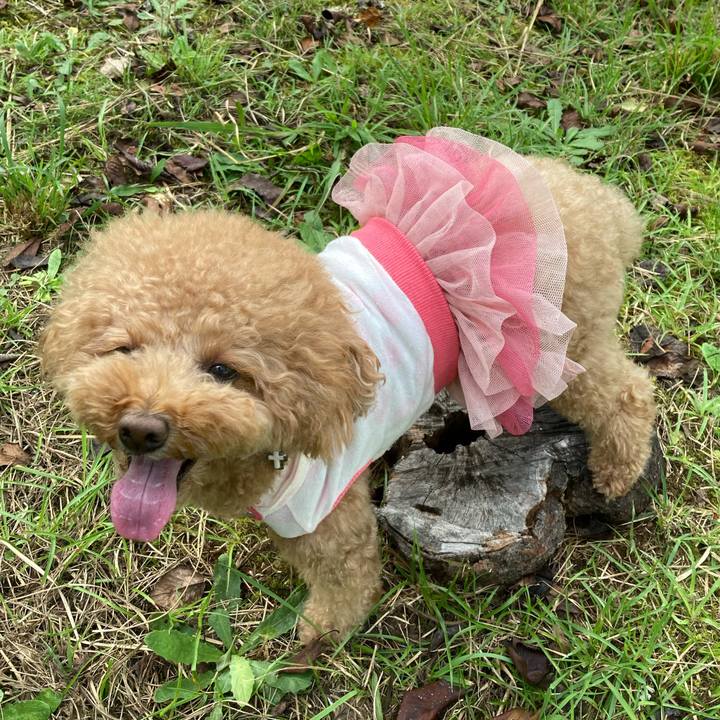 4196542a 0fbc 41bd 8ecc 015750e60c03 1632895787432