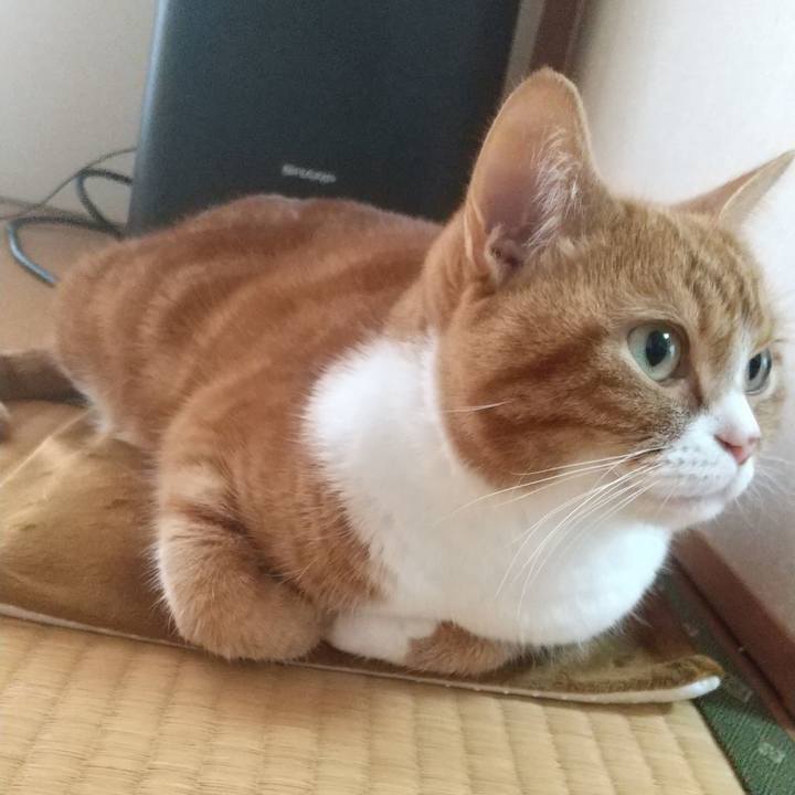 41965798 2a91 41cd 9acc d1efecc224aa 1700893087011