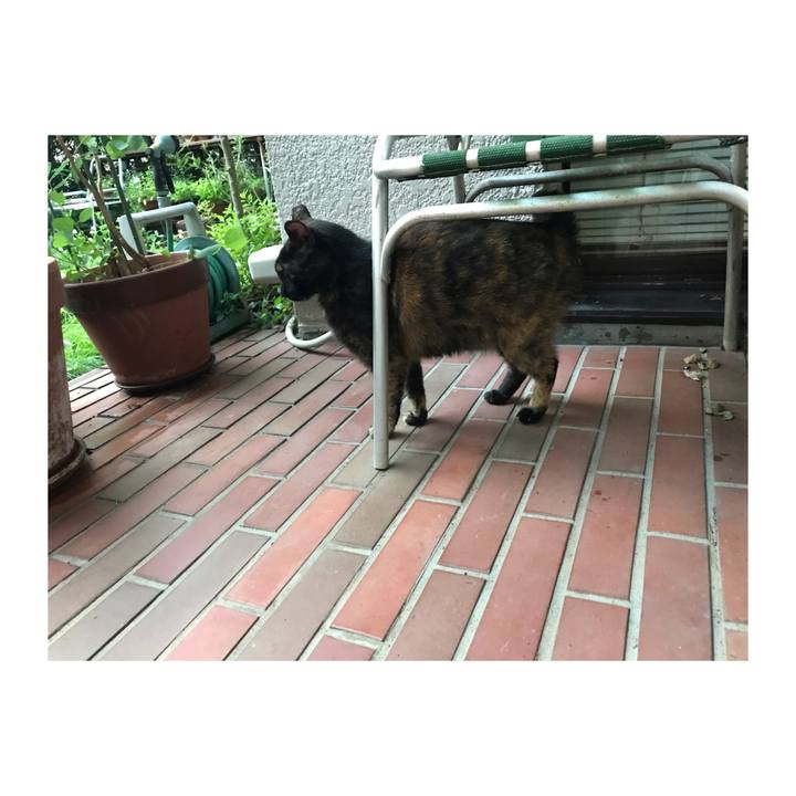 4196771d 28bb 4049 9236 c5b7589555d6 1657245744695