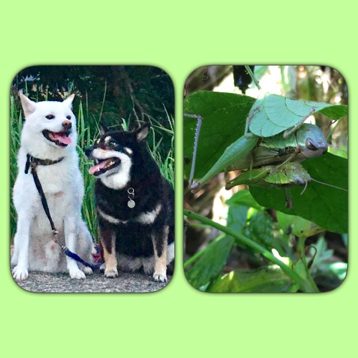 41968611 6bda 4489 bb86 feae38ddcf82 1538350530010