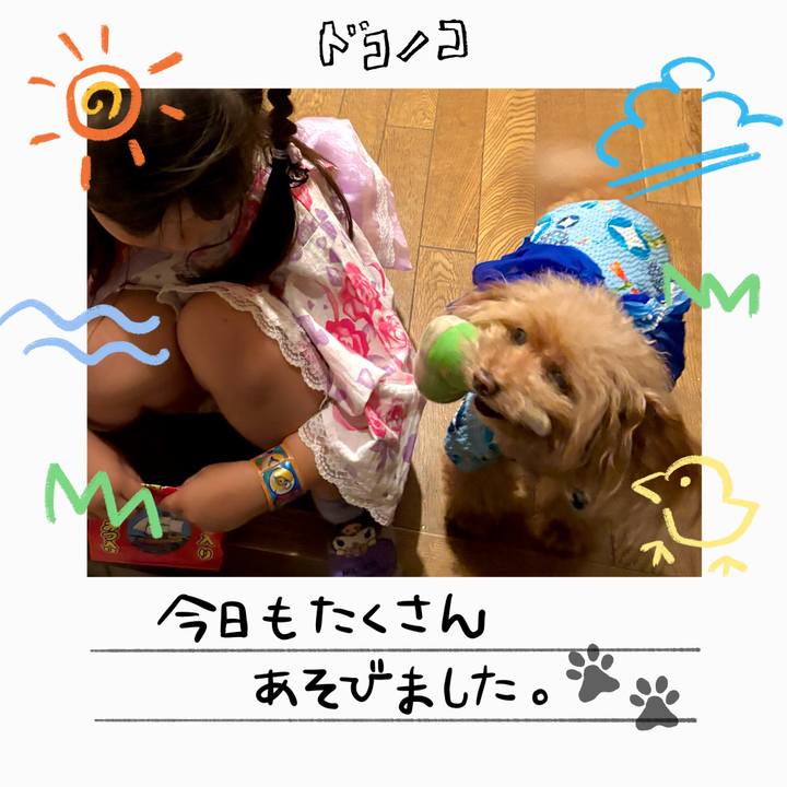 4196bf95 74c5 4e71 939d 3cadb177629a 1755355560848