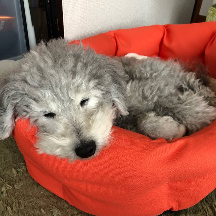 4196ee2f a538 4469 8825 296defbcdaba 1527300870073