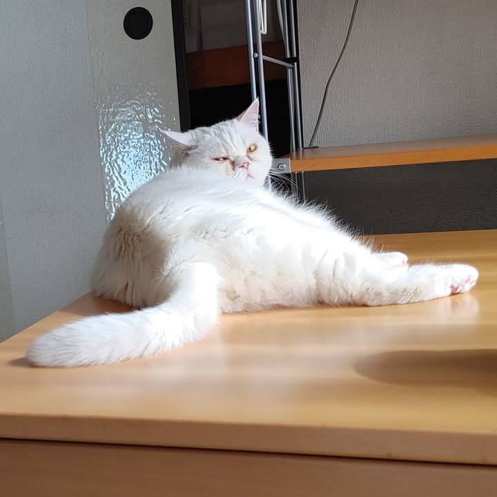 4196fd21 edf4 430d b00b 3e2d7c3feb8c 1667696345926