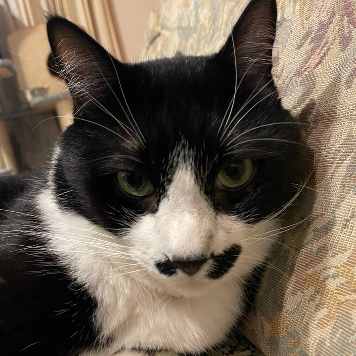 419735d9 d2a7 47df 9998 33510def82e1 1730112327783