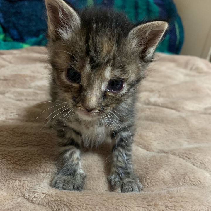 419739f4 4bde 4fef a120 0980f144db69 1556377429747