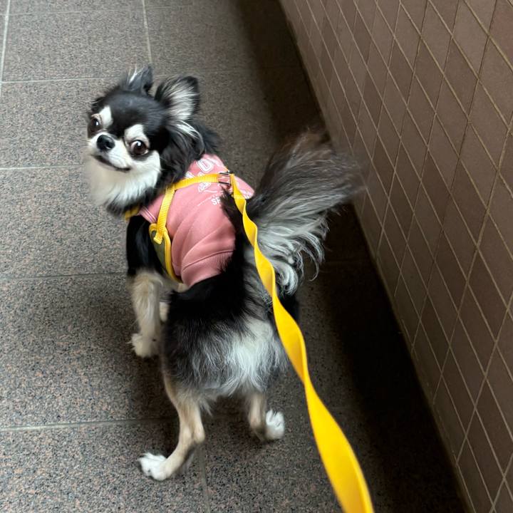 41973a2b 8e8f 4941 aa5e 07afd1f0a6aa 1731256348038