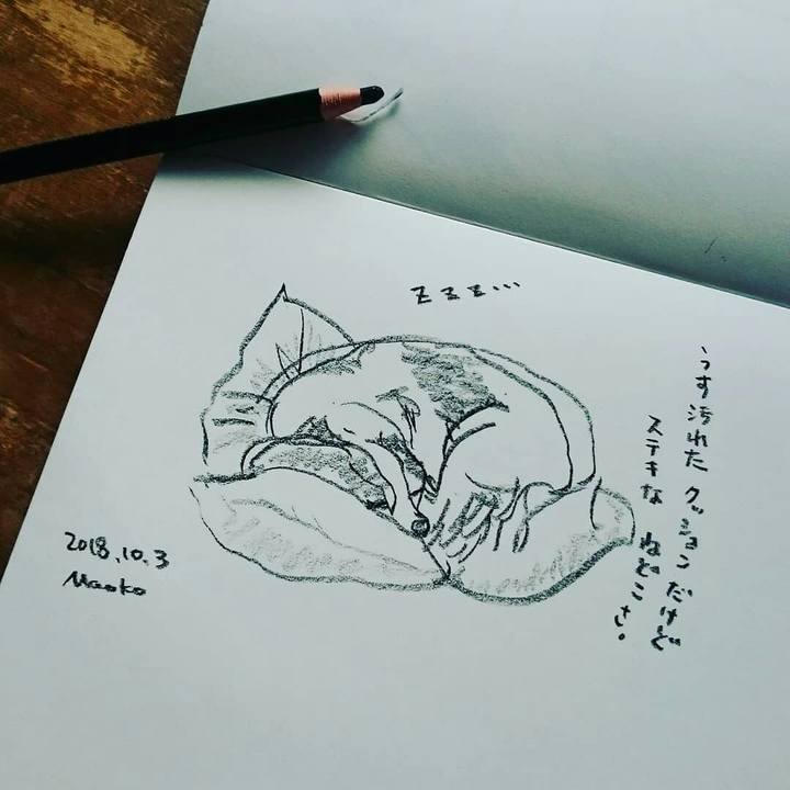 41973ab5 74cc 4ae0 a61d 96ea7188caed 1538552012621