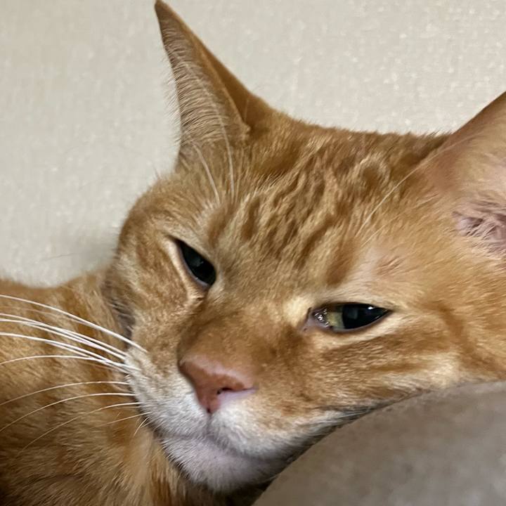 41974e85 7ece 4ee5 9538 17ca27417b8a 1765948687993