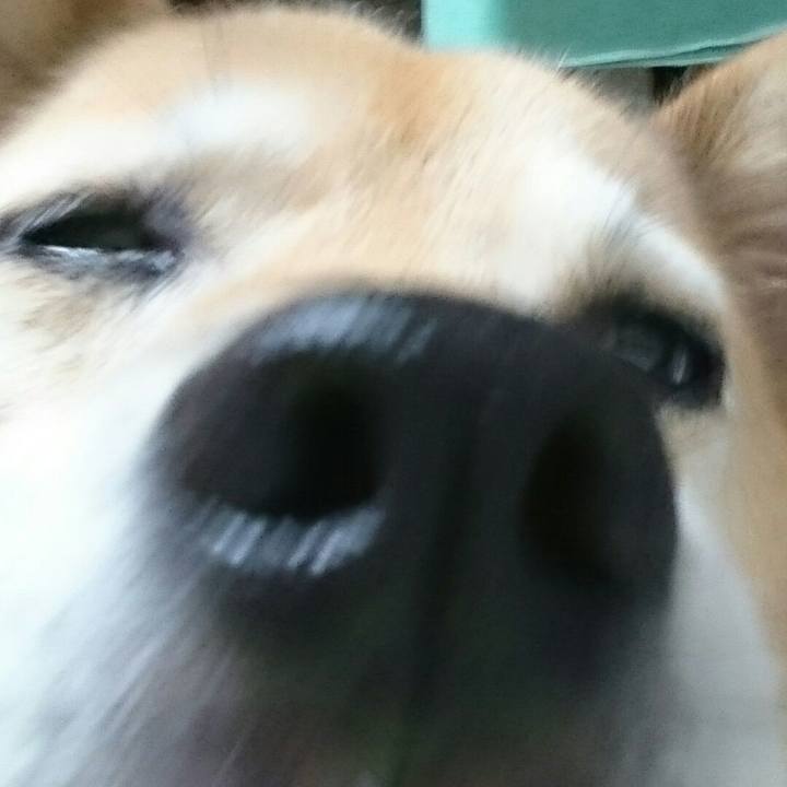 41974ebe 71f8 4e97 83cd 4d9bf1d3e377 1523533598193