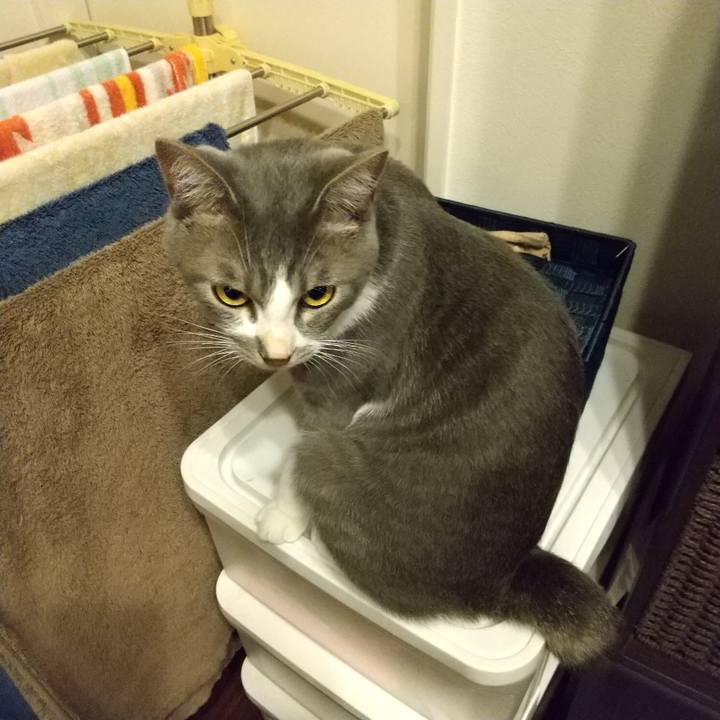 41975b2a 1837 4562 8d2d 1ba3a8519254 1595940802827