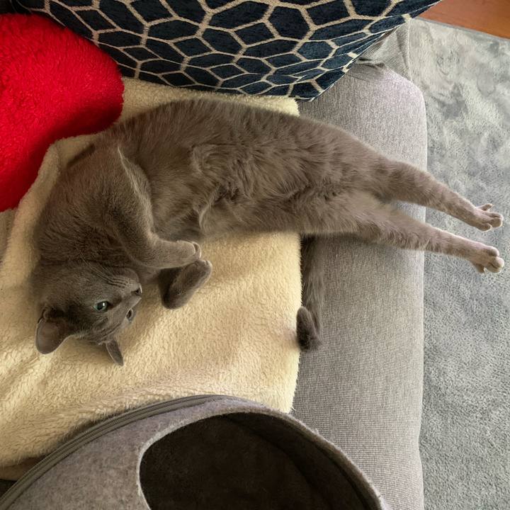 41977668 0ec5 412f b7f1 0b4b3c1734eb 1618958978797