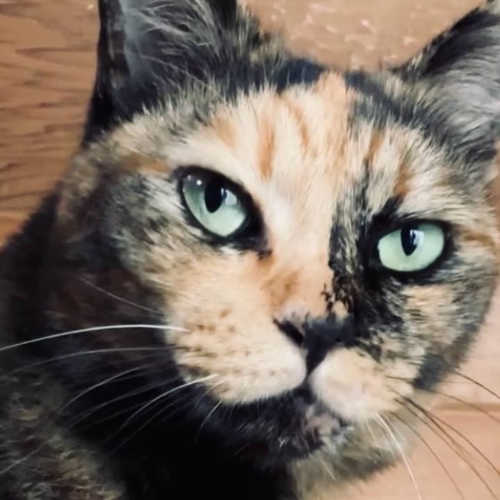 41978fcc b57e 4616 a7ad bec0936e0d0d 1729310424252