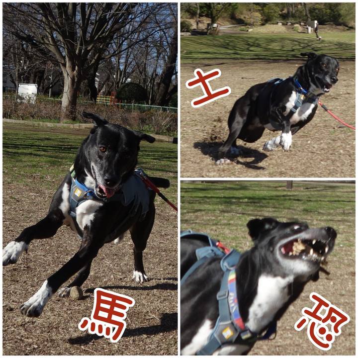 41979ab8 1669 4ca1 b318 5384055a6250 1710291080556