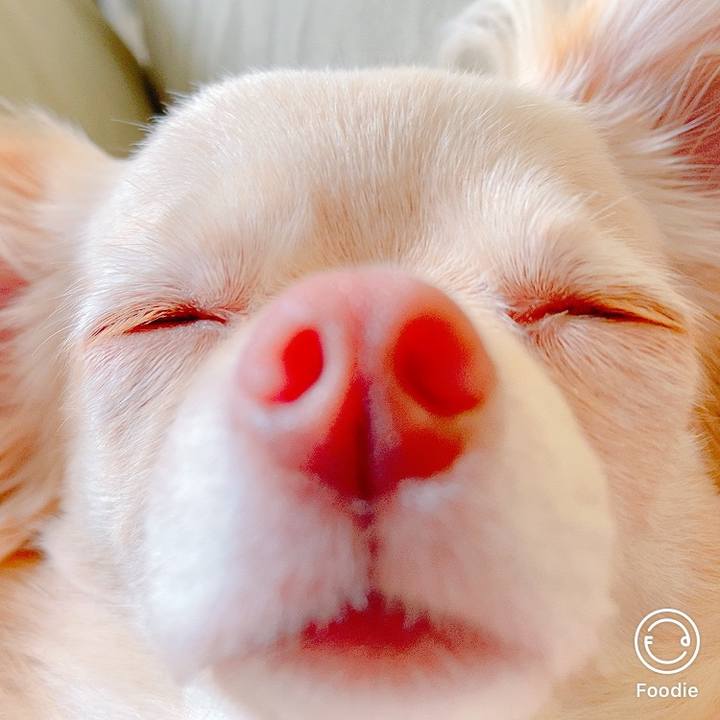 4197c511 4bf5 44ce b528 16fc5acaa0ee 1624946569087