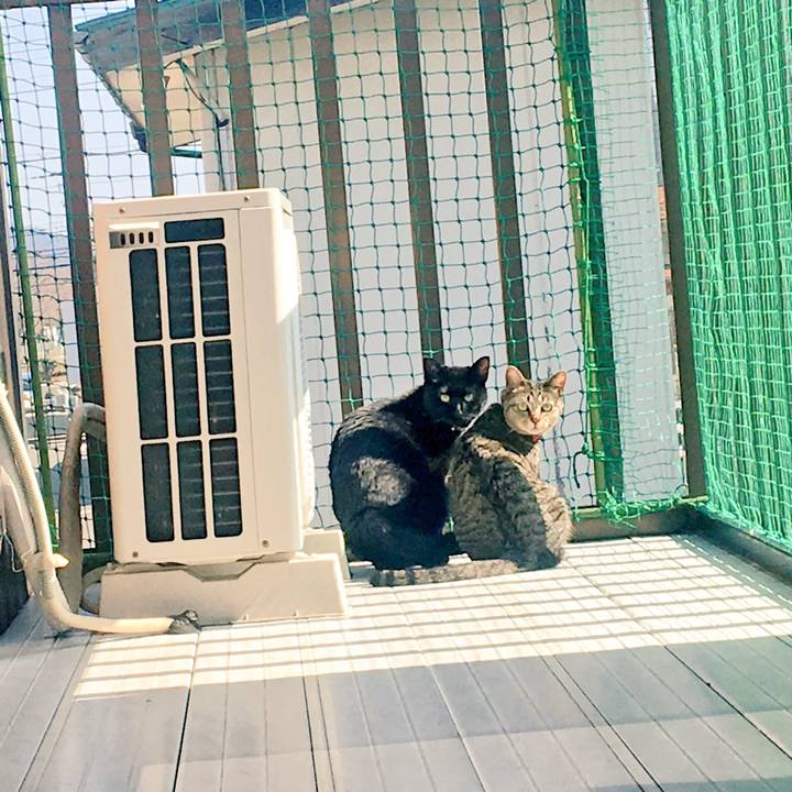 4197cbe3 c815 42a3 8046 5278af79838b 1520844111760