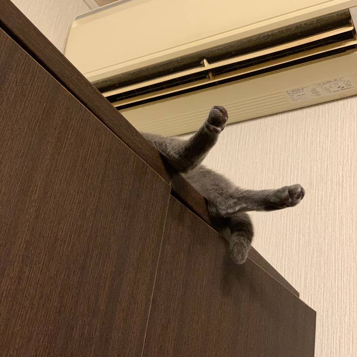 41983677 53a8 46eb b2b7 6144586bc1bc 1647829375286