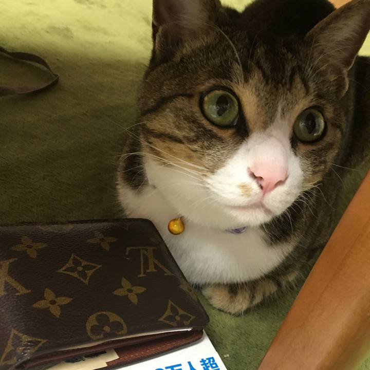 41984c93 fe76 4f0a 84c3 8155e6d70248 1711246057112