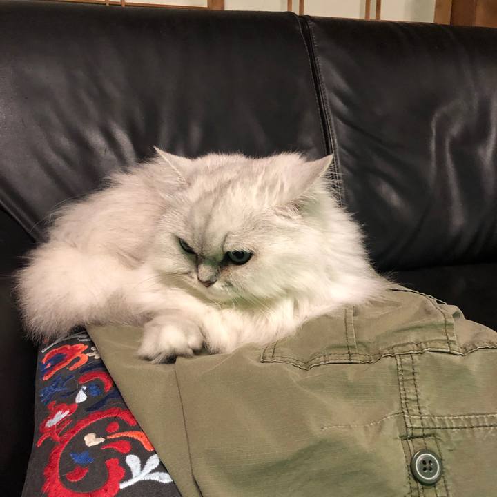 4198a158 4c45 4ca1 927d 2761d389ee0d 1627088243099