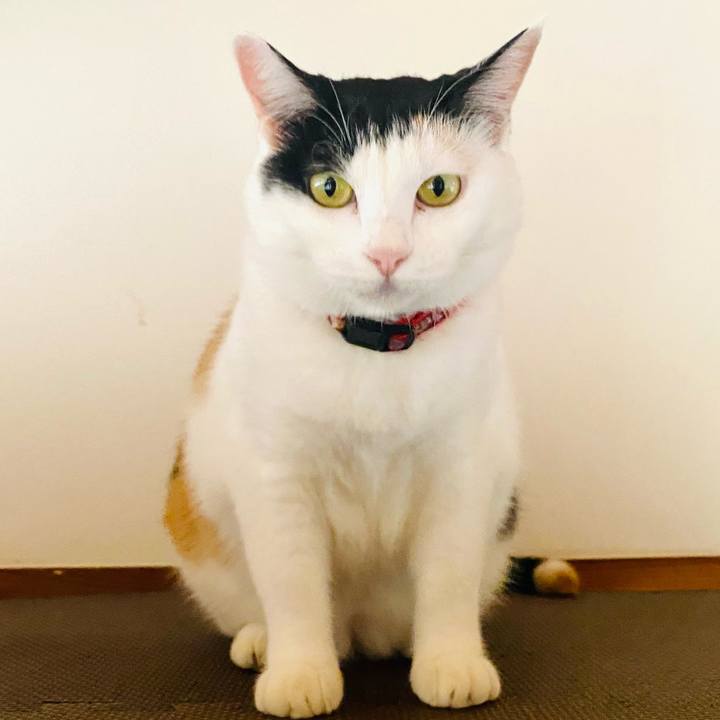 4198bf72 31c4 403b b26d efe683261fd7 1696504009085