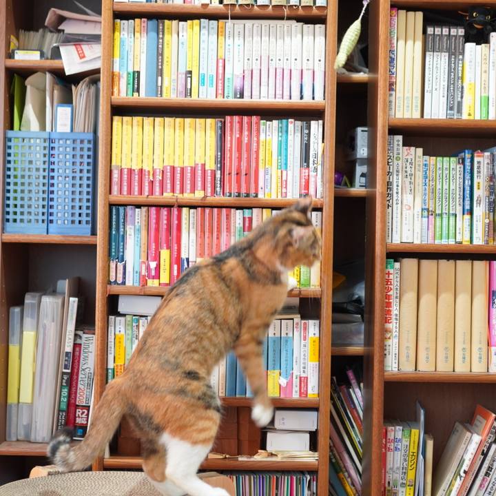 4198e801 3d1e 4005 88d8 bea42366d4fe 1633907206324