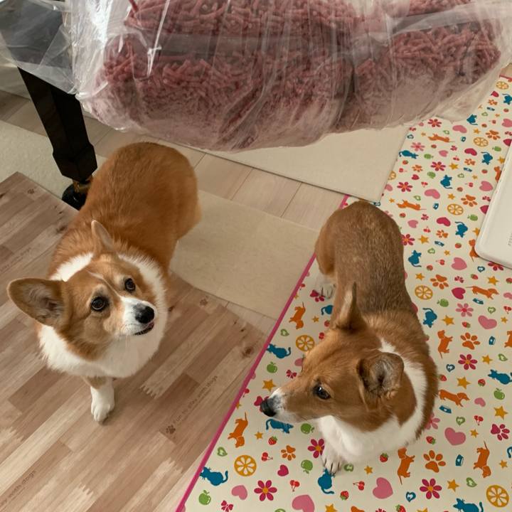 419941d7 4d3f 412c 9aca 6c2c1f242d16 1705022635909