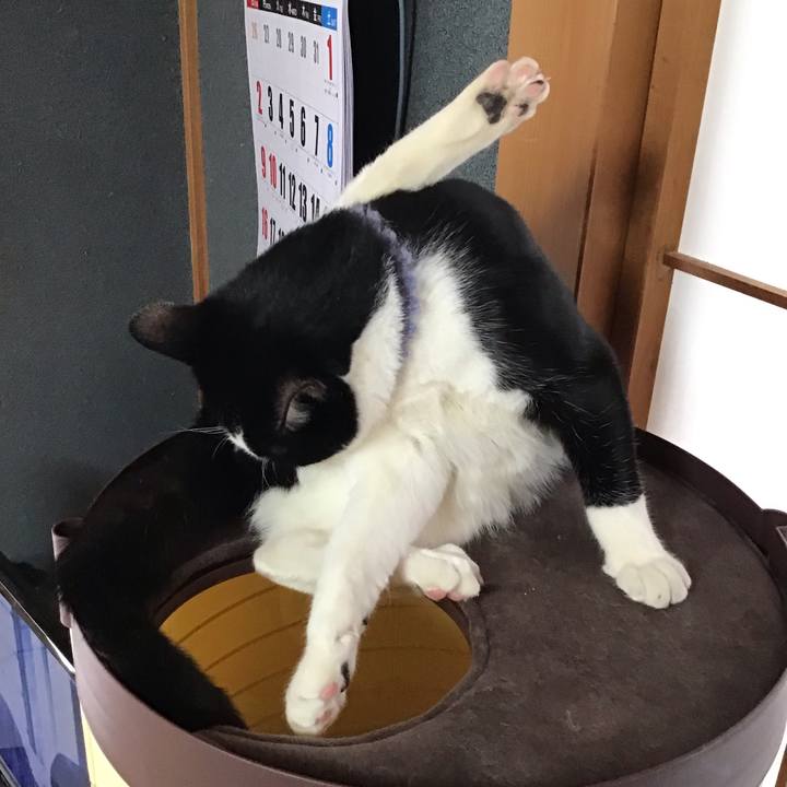 41997957 fbe4 4eca 8fdb bf488a943ae5 1642654409261