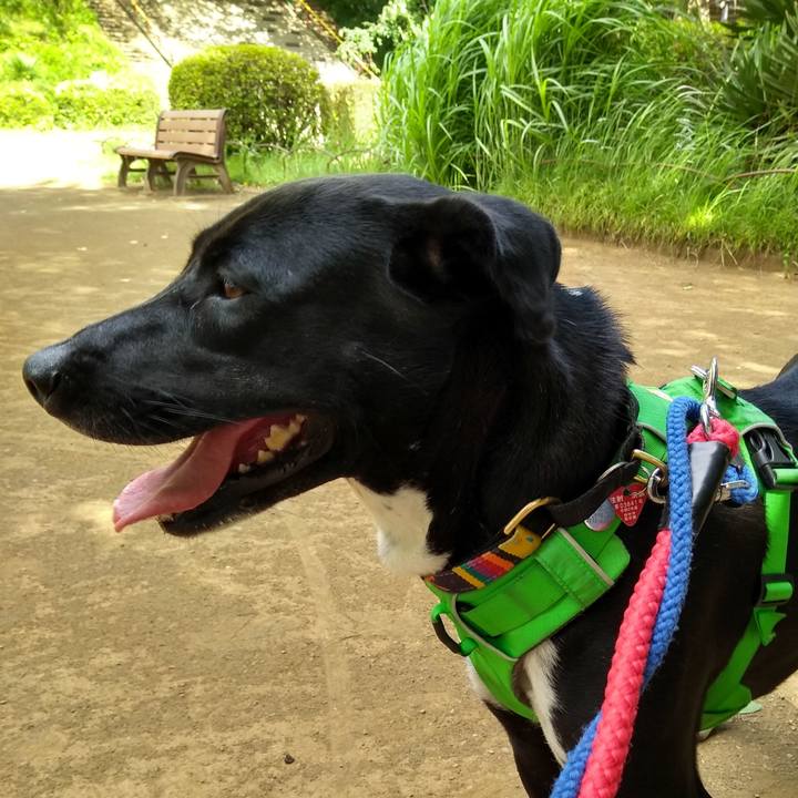 41998634 ecea 4414 98d3 53924ff9d4b2 1591834608730