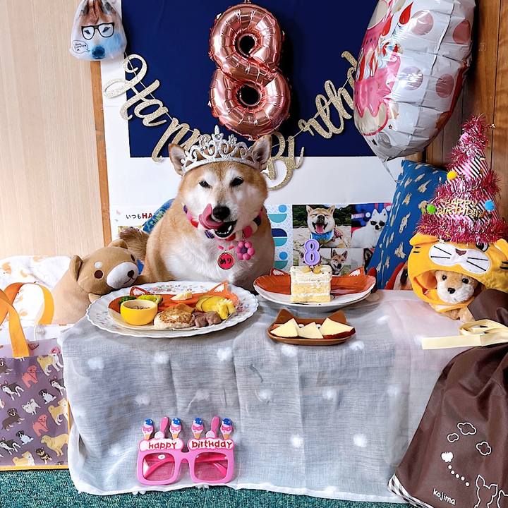 419a0998 e15b 456c 908e 29e6d46107fa 1668119506569