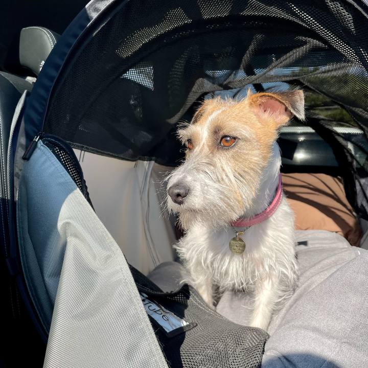 419a29a0 df1b 4072 9949 6311e9481569 1644659681523