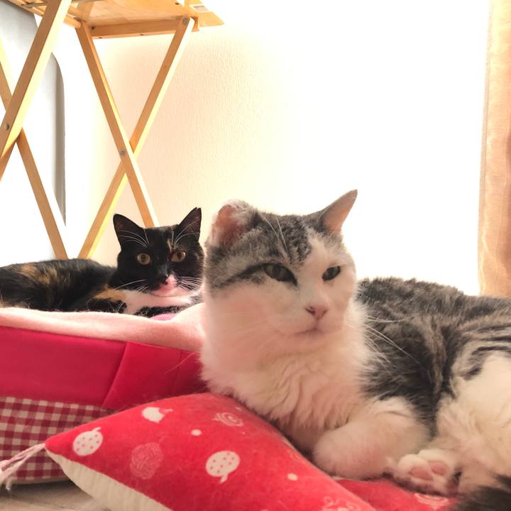 419a3e40 8616 40cd a2ed 55f6fe2447e6 1664692150670