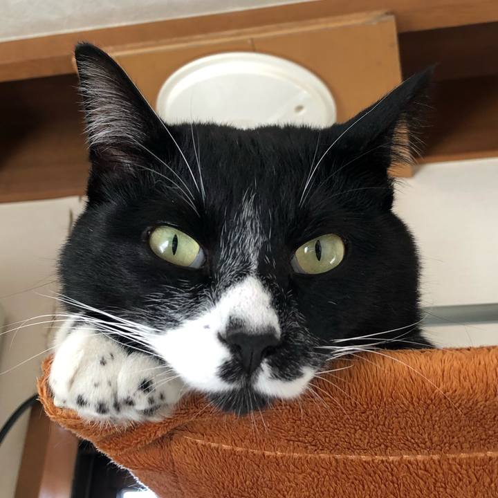 419a4465 5a2d 467d 8e18 73cfa1ebd47b 1547523940410