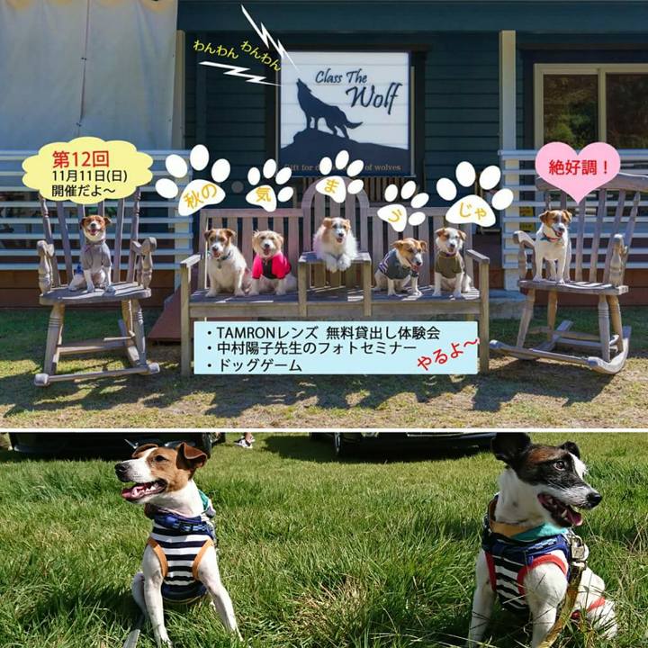 419a4c83 283d 4a85 830b 5b79534de819 1537867745553