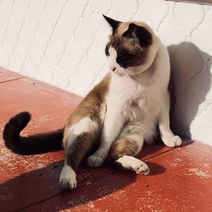 419a6c9d b1a1 4a0c abb4 1856a3a27632 1735616163136