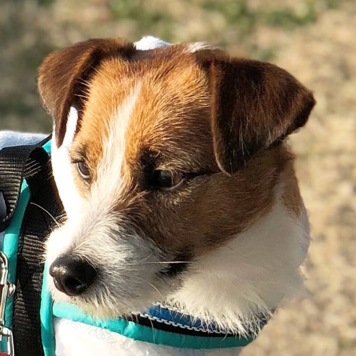 419a8ead 5d86 44a2 a3eb a22dffc8e3c3 1513415656481