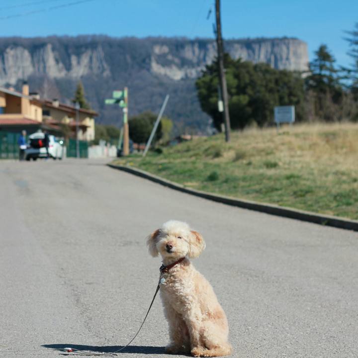 419a9142 558e 4af6 885c 0d165bcda00d 1552552887837