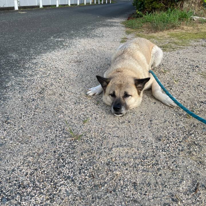 419ab6bc bf5a 42b5 84a8 5047b5ea3bc3 1690893753635